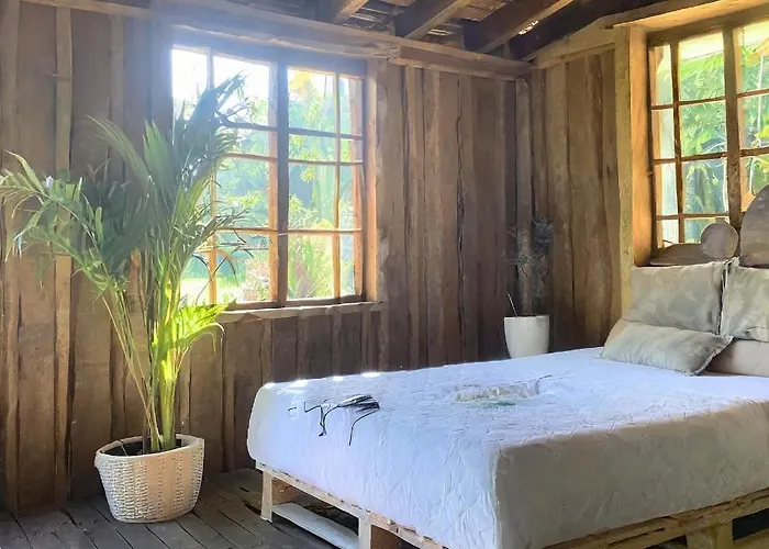 Punta Arena Ecohostal And Ecofit - Your Eco-Friendly Oasis 01